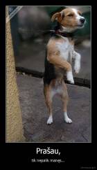 Prašau, - tik nepalik manęs...