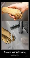 Prašome nusiplauti rankas, - pažaidus su gyvūnu