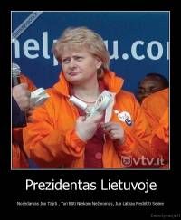 Prezidentas Lietuvoje - Norėdamas Juo Tapti , Turi Būti Niekam Nežinomas, Juo Labiau Nedirbti Seime