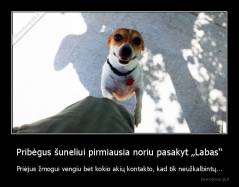 Pribėgus šuneliui pirmiausia noriu pasakyt „Labas“ - Priėjus žmogui vengiu bet kokio akių kontakto, kad tik neužkalbintų...