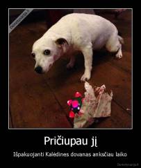 Pričiupau jį - Išpakuojanti Kalėdines dovanas anksčiau laiko