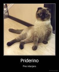 Priderino - Prie interjero