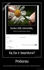 Pridursiu - Kad prieš pradedant naudots internetu turetum išmokti kopijuoti paveiksliukus.