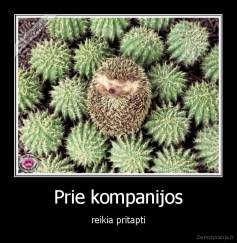 Prie kompanijos - reikia pritapti