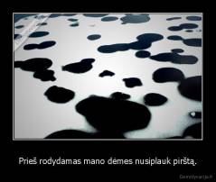 Prieš rodydamas mano dėmes nusiplauk pirštą. - 