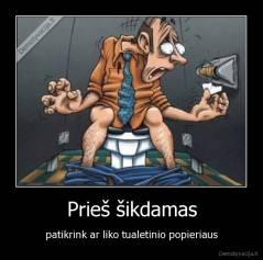Prieš šikdamas - patikrink ar liko tualetinio popieriaus