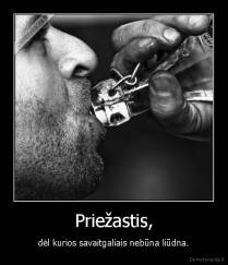 Priežastis, - dėl kurios savaitgaliais nebūna liūdna.