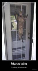Prigavau katiną - šnipinėjantį po mano namus