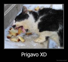 Prigavo XD - 