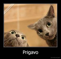 Prigavo - 