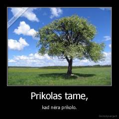 Prikolas tame, - kad nėra prikolo.