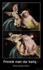 Primink man dar kartą -  - Dėl ko aš tave myliu?..