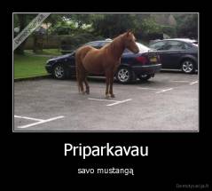 Priparkavau - savo mustangą