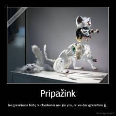 Pripažink - Jei gyvenimas būtų nuobodesnis nei jau yra, ar vis dar gyventum jį..