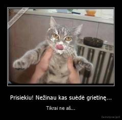 Prisiekiu! Nežinau kas suėdė grietinę... - Tikrai ne aš...