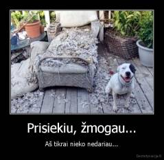 Prisiekiu, žmogau... - Aš tikrai nieko nedariau...