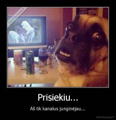 Prisiekiu... - Aš tik kanalus junginėjau...