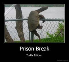 Prison Break - Turtle Edition