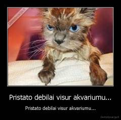 Pristato debilai visur akvariumu... - Pristato debilai visur akvariumu...