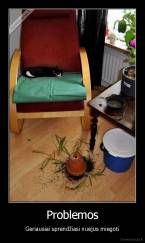 Problemos - Geriausiai sprendžiasi nuėjus miegoti