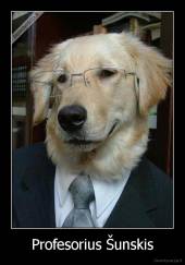 Profesorius Šunskis - 