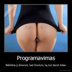 Programavimas - Nebūtina jį išmanyti, kad žinotum, ką turi daryti toliau