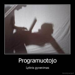 Programuotojo - Lytinis gyvenimas