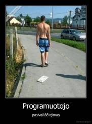 Programuotojo - pasivaikščiojimas