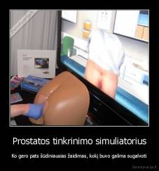 Prostatos tinkrinimo simuliatorius - Ko gero pats šūdiniausias žaidimas, kokį buvo galima sugalvoti
