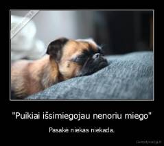 "Puikiai išsimiegojau nenoriu miego" - Pasakė niekas niekada.