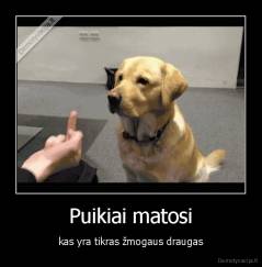 Puikiai matosi - kas yra tikras žmogaus draugas