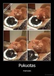 Pukuotas - marozas