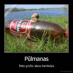 Pūlmanas - Reto grožio alaus bambalys