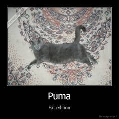 Puma - Fat edition