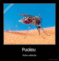 Puoleu  - Koke valanda
