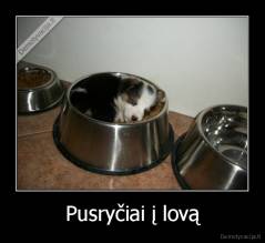 Pusryčiai į lovą - 