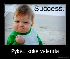 Pykau koke valanda - 