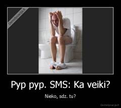 Pyp pyp. SMS: Ka veiki? - Nieko, sdz. tu?