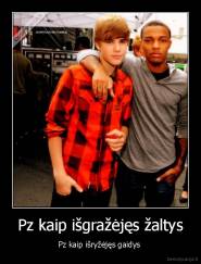 Pz kaip išgražėjęs žaltys - Pz kaip išryžėjęs gaidys 