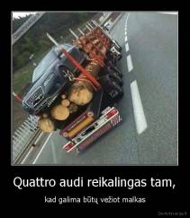 Quattro audi reikalingas tam, - kad galima būtų vežiot malkas