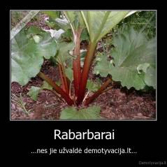 Rabarbarai - ...nes jie užvaldė demotyvacija.lt...
