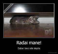 Radai mane! - Dabar tavo eilė sleptis