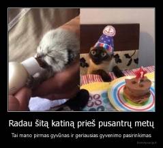 Radau šitą katiną prieš pusantrų metų - Tai mano pirmas gyvūnas ir geriausias gyvenimo pasirinkimas