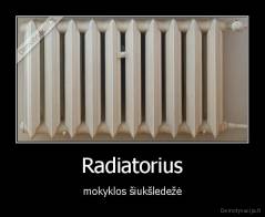 Radiatorius - mokyklos šiukšledežė