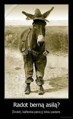 Radot berną asilą? - Žinokit, kažkokia pana jį tokiu padarė.