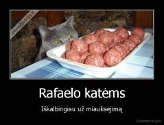 Rafaelo katėms - Iškalbingiau už miauksėjimą