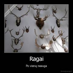 Ragai - Po vieną neauga