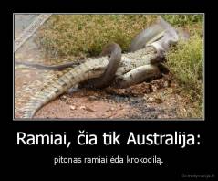 Ramiai, čia tik Australija: - pitonas ramiai ėda krokodilą.