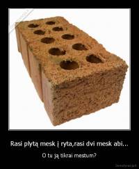 Rasi plytą mesk į ryta,rasi dvi mesk abi... - O tu ją tikrai mestum?