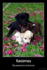 Rasizmas - Šią savoką žino tik žmonės